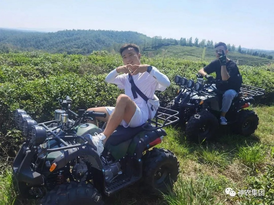 茶園山地車